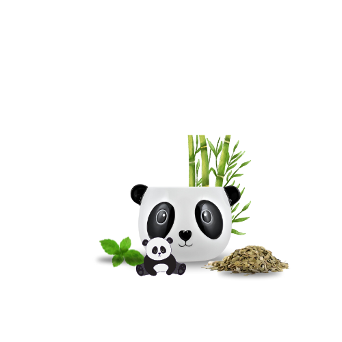 Calebasse Panda 350 ml